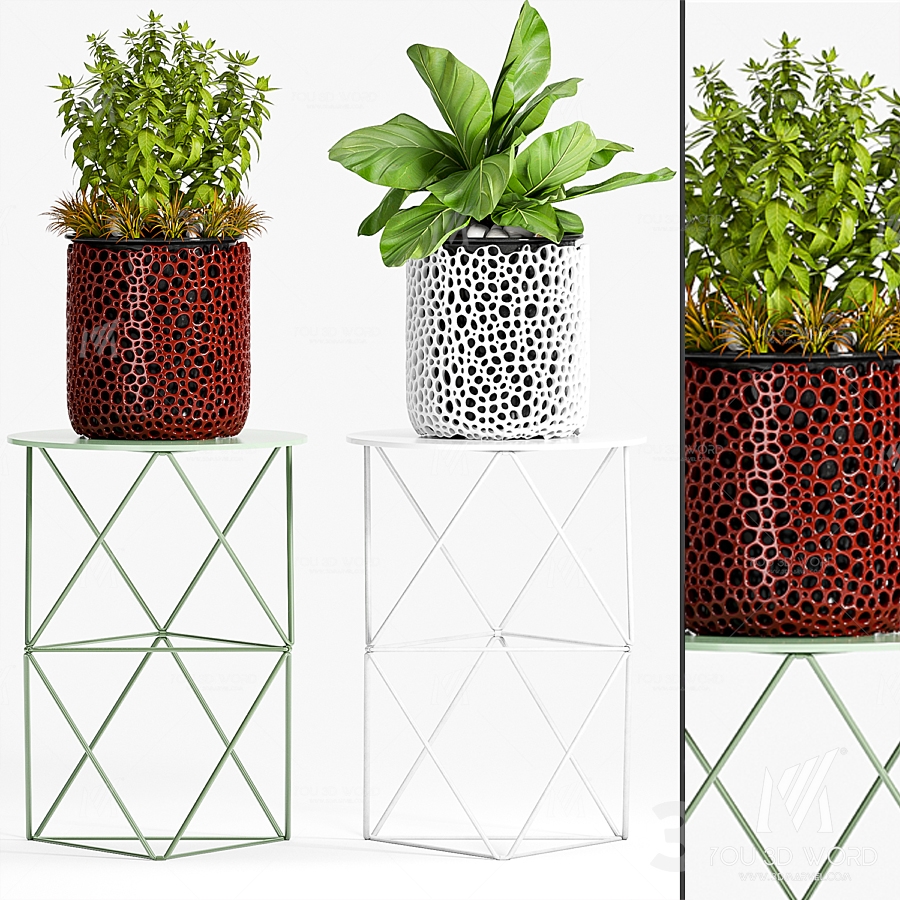 PLANT-44